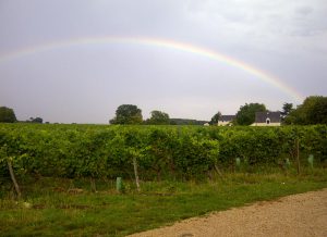 Domaine M Plouzeau