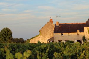 Domaine M Plouzeau