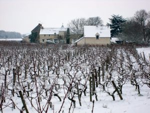 Domaine M Plouzeau