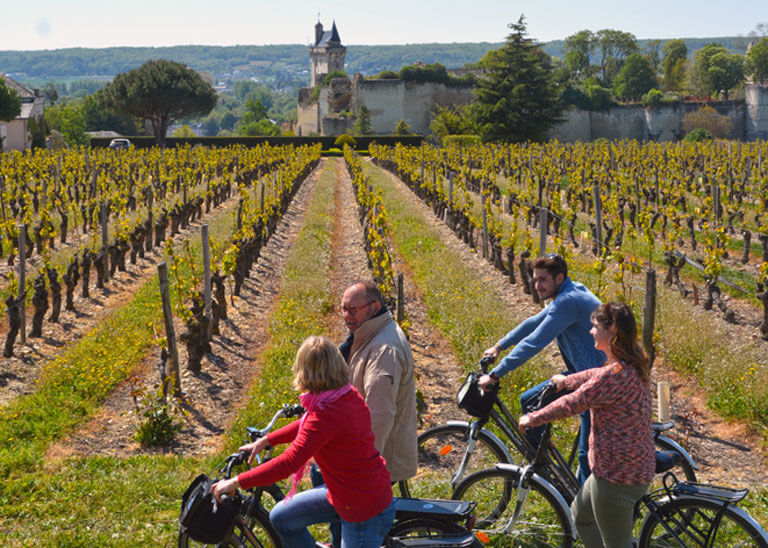 VinoVelo